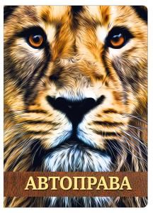 Обложка для документов на авто