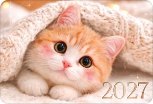 Календарь карманный 2027 (милый котик)