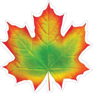 Украшение на скотче  кленовый лист красно-зеленый