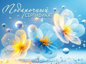 Конверт для подарочного сертификата «Подарочный сертификат»