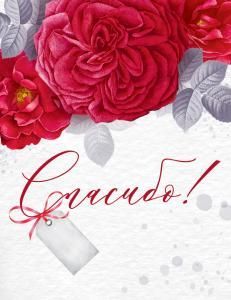 Открытка-поздравление «Спасибо»