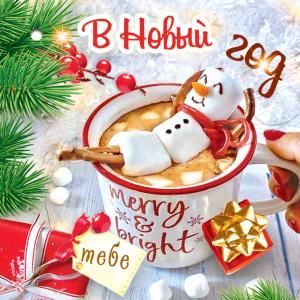 Бирка для подарка «В Новый год. Тебе»