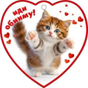 Бирка-сердечко «Иди обниму!»