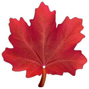 Украшение на скотче "Кленовый лист"