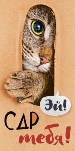 Конверт для денег «Эй! С Днем Рождения тебя!»