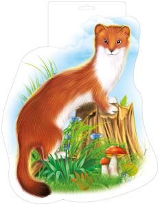 Мини-плакат «Горностай»