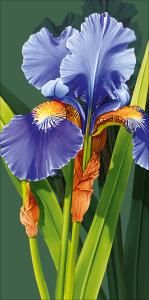 Конверт для денег «Без надписи»