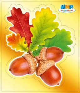 Наклейка «Желуди»