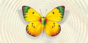 Конверт для денег без надписи