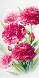 Конверт для денег без надписи (гвоздики)