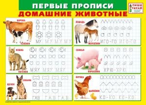 Первые прописи «Домашние животные» (Пиши-стирай)