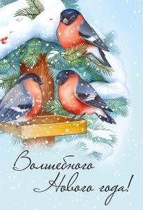 Бирка «Волшебного Нового года!» 