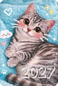 Календарь карманный 2027 (милый котик)