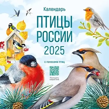 Календарь перекидной «Птицы России 2025, с голосами птиц»