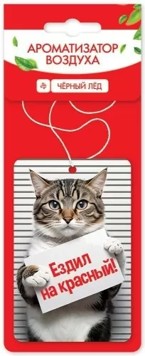 Ароматизатор воздуха «Чёрный лёд» 50001304