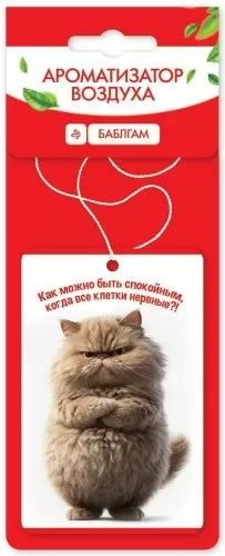 Ароматизатор воздуха «Баблгам» 50001300