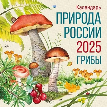 Календарь перекидной «Природа России 2025. Грибы»