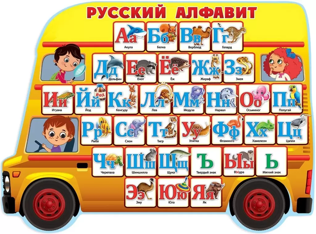 Учеба и организация фото-3